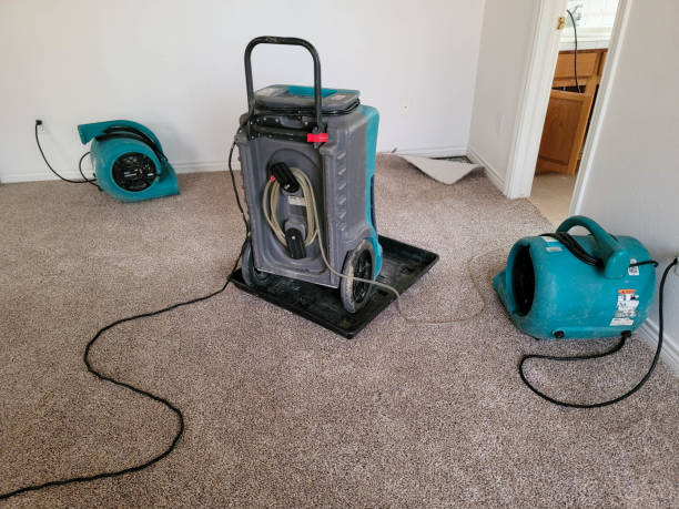 Best Professional water damage repair  in Terra Bella, CA