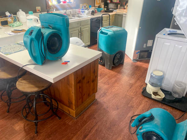 Best Water damage cleanup near me  in Terra Bella, CA