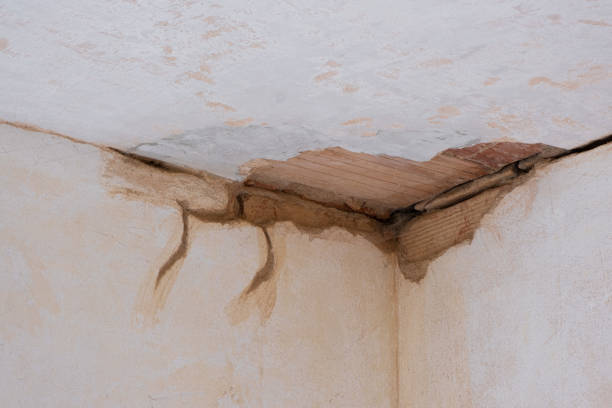 Best Sewage cleanup and water damage restoration  in Terra Bella, CA