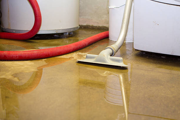 Best Basement water damage restoration  in Terra Bella, CA