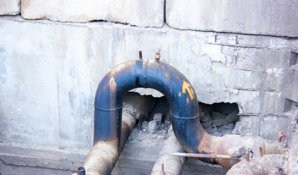 Best Flood restoration services  in Terra Bella, CA