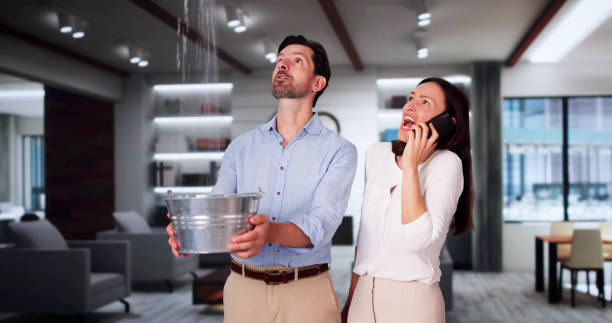 Best Local water damage restoration  in Terra Bella, CA